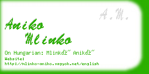 aniko mlinko business card